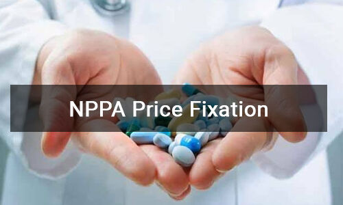 NPPA fixes price of 17 formulations including BP drugs,painkillers; details