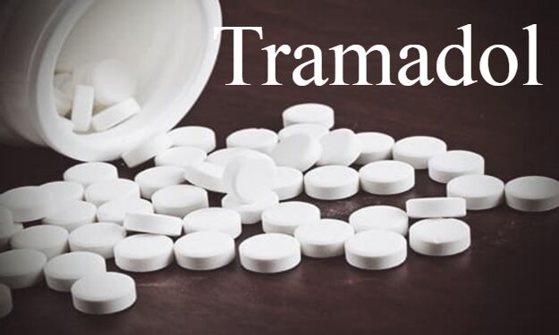 Tramadol supplied globally from India as psychotropic substance: UN body